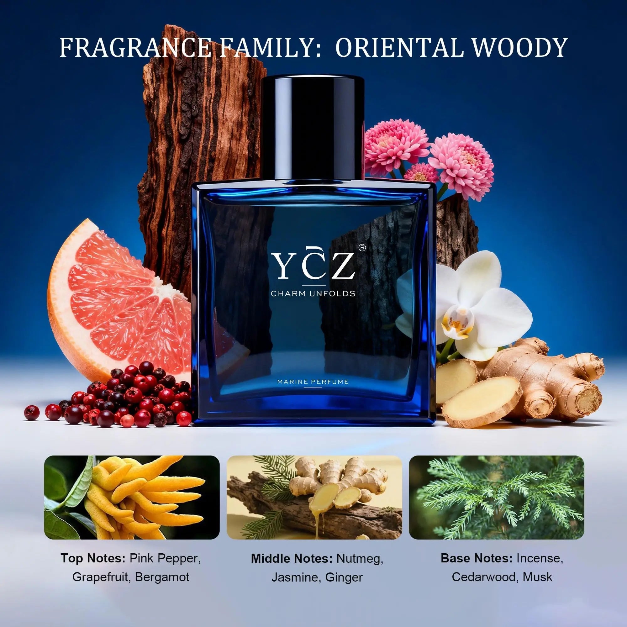 Ycz Enchanting Men's Cologne